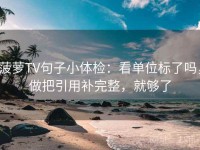 菠萝TV句子小体检：看单位标了吗，做把引用补完整，就够了