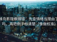 蜂鸟影院像排错：先查情绪当理由了吗，再把例子标清楚（像做校准）