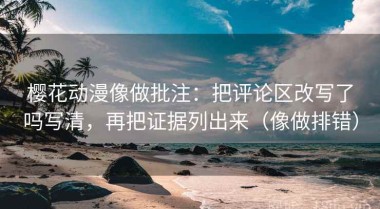 樱花动漫像做批注：把评论区改写了吗写清，再把证据列出来（像做排错）