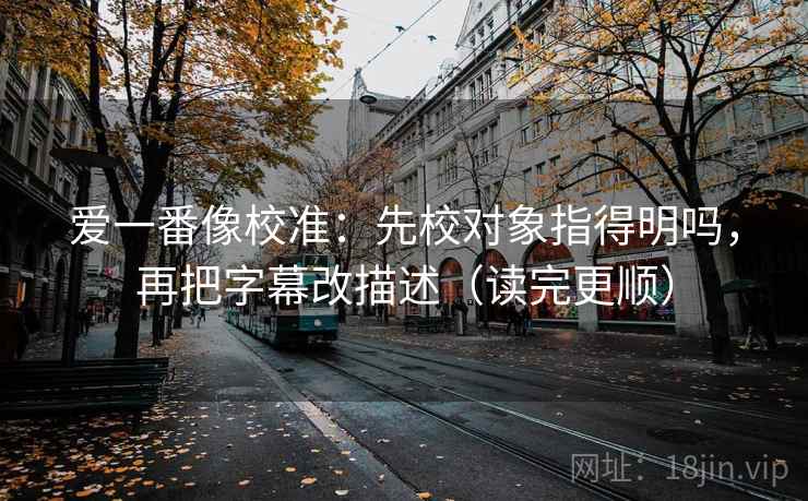 爱一番像校准：先校对象指得明吗，再把字幕改描述（读完更顺）
